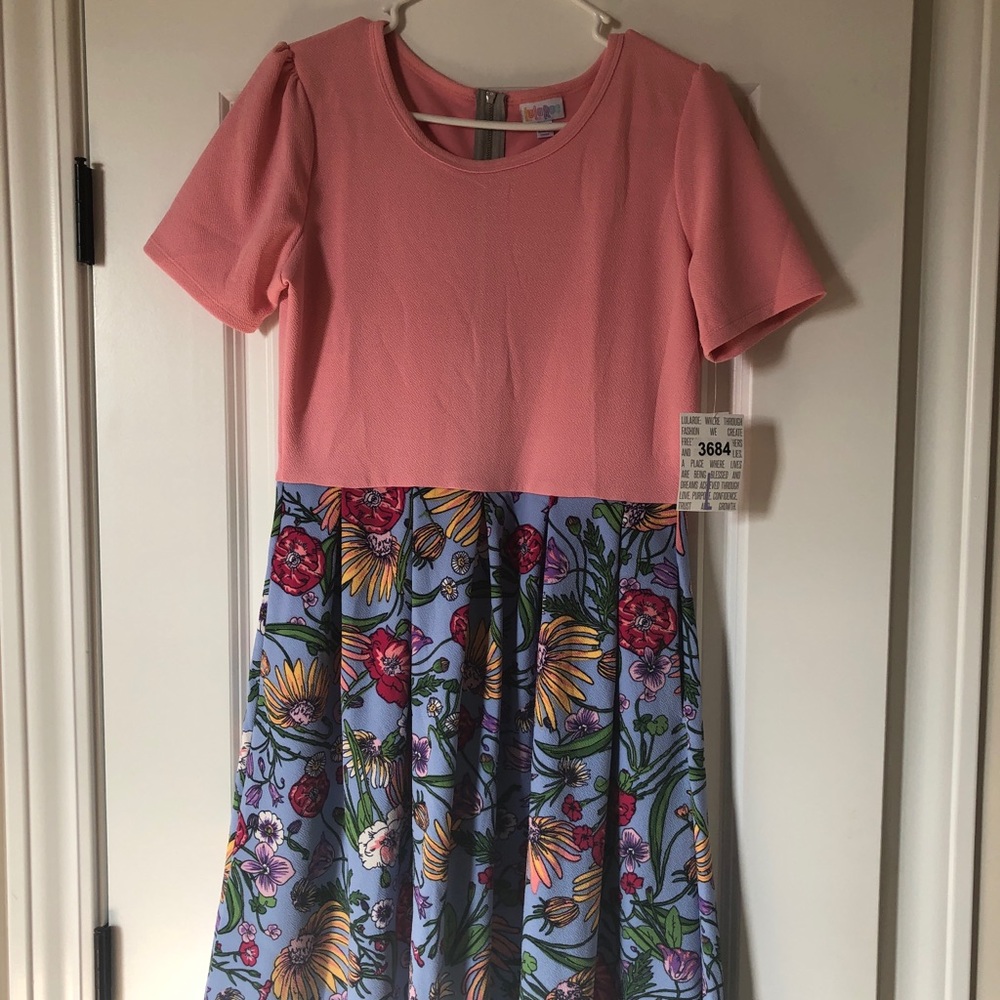 Amelia Dress New Size Large